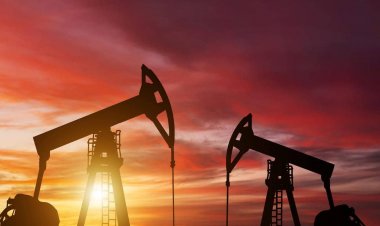 آژانس بین المللی انرژی می گوید مازاد نفت باز می گردد