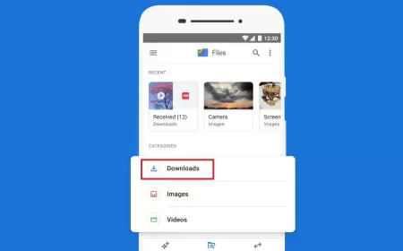 چطور فایل دانلود شده در دستگاه اندرویدی را پیدا کنیم؟